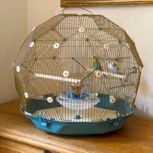 Geo Bird Cage – The Parakeets Get a New Home