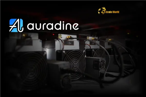 Auradine Teraflux AH3880 600 TH/s BITCOIN miner - Image 7