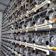 Bitmain Antminer S21 XP+ Hyd (500 TH/s): ~500 TH/s, 5,500 W