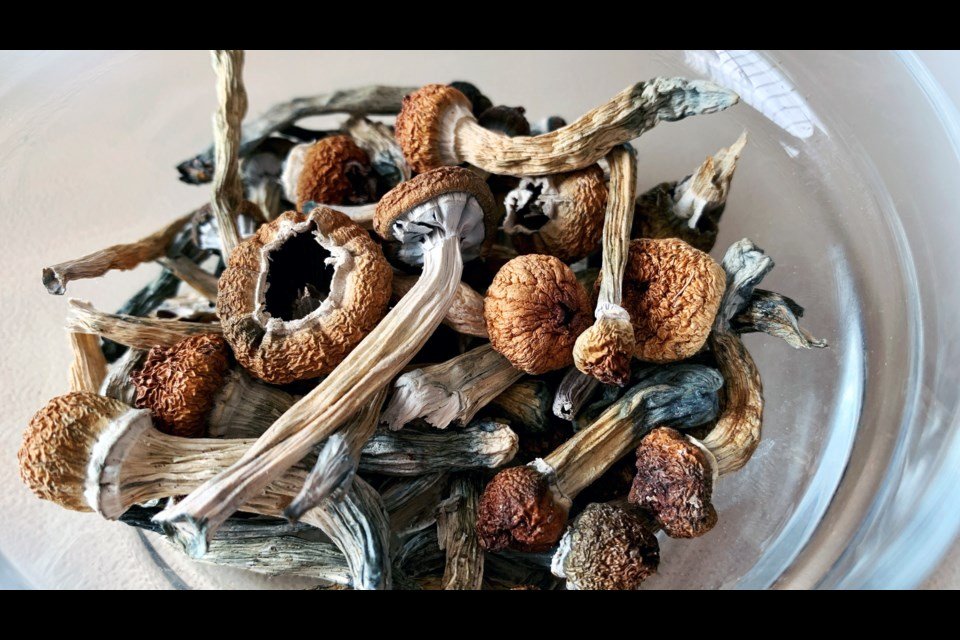 🍄 magic Mushrooms or Spores 3g=$45