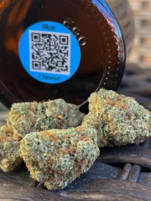 🇧🇭Blue Cheese weed strain 1gram