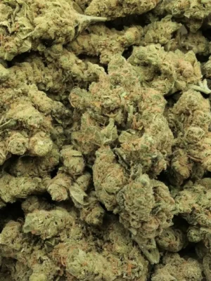 🇨🇦Super Silver Haze weed per 1 gram