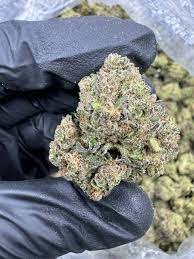 🇺🇸Gelato / Runtz weed per 1gram