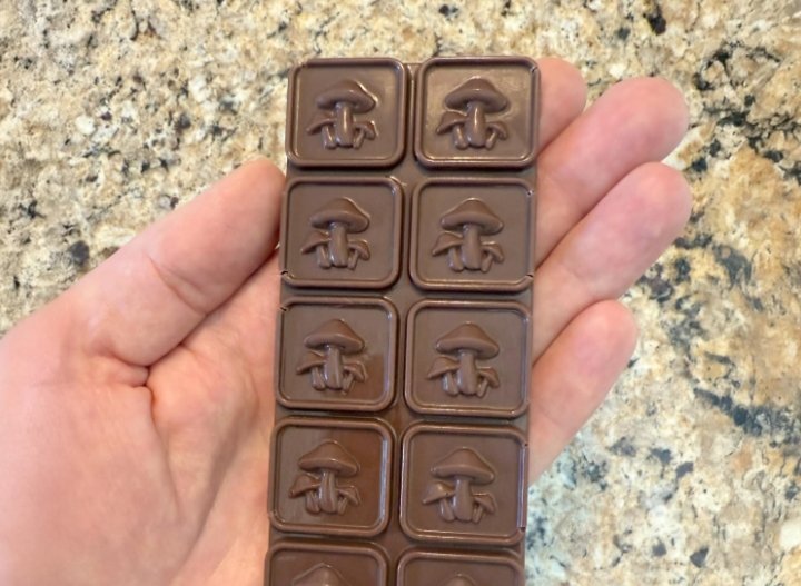 Mushroom,polycarbonate chocolate mold,50ml (65g),10 pieces bar