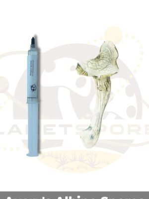 Avery's Albino mushroom